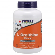 나우 Now, L-오르니틴 500 mg, 120 캡슐