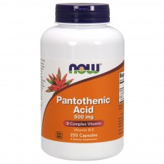  나우 Now, Pantothenic Acid 500 mg, 250 캡슐