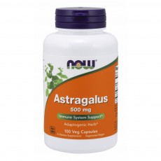  나우 Now, Astragalus 500 mg, 100 캡슐