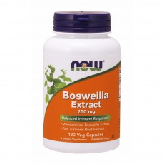 나우 Now, 보스웰리아 추출물, 250 mg, 120 식물성 캡슐
