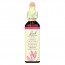 바흐, Flower Essence Sweet Chestnut, 20 ml